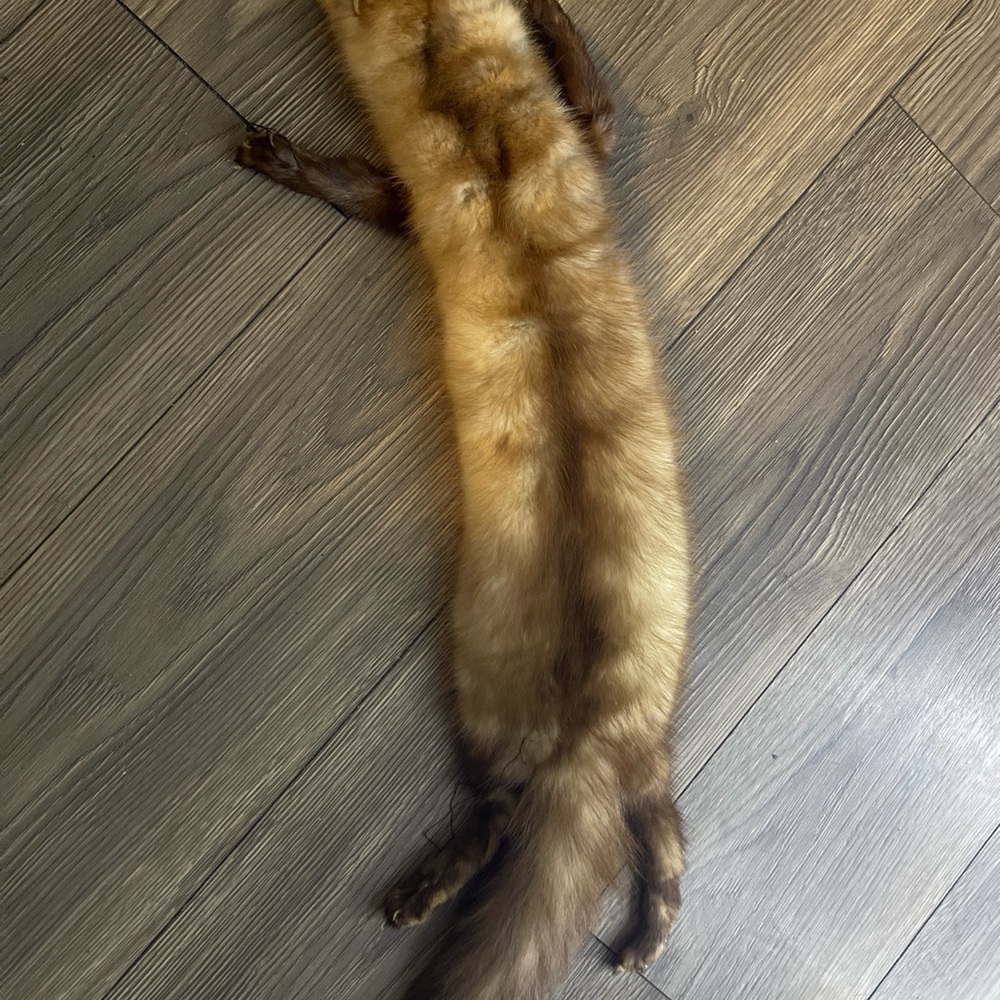 1940s Vintage Minx Fox Fur Wrap